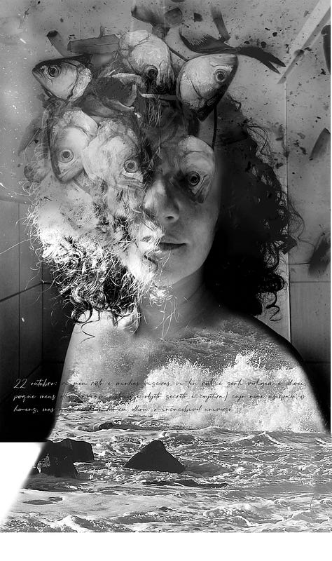 Obras da série O sonhário da Srª. M.N., 2022 - imagens em preto e branco, surrealistas