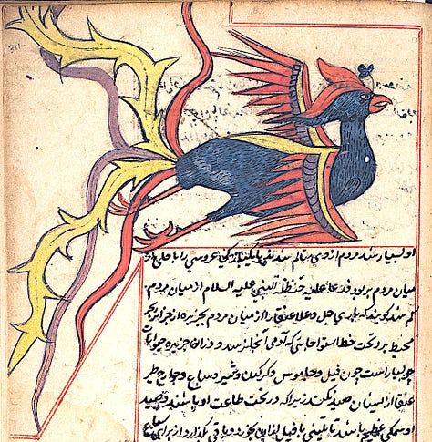 illustrations from Zakariya al-Qazwini's Wonders of Creation