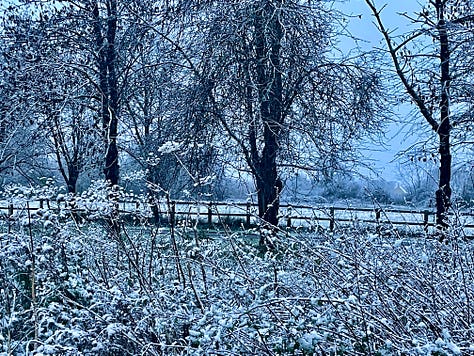 Frosted grasses in a snowy field with a pub in the background; a churchyard with snow on the ground; snow-covered grasses and trees