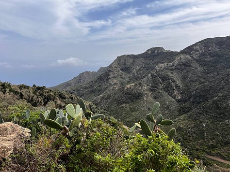 photos of natural scenes on Tenerife