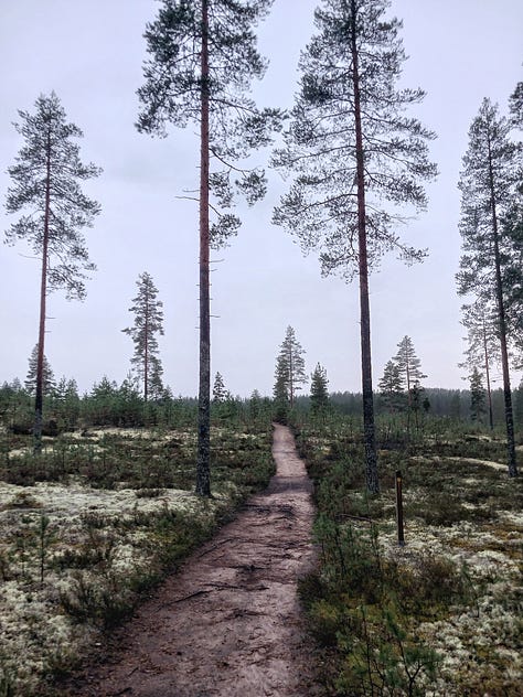Rokuan kansallispuisto