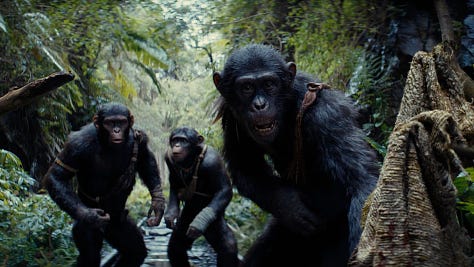 Still images from the films Kingdom of the Planet of the Apes, Stewart and Let It Be.