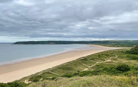 vies of gower beaches