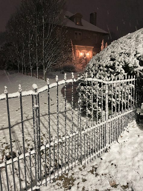 Snowy night in the garden: the yew arches, the boxwood parterre and the front gate