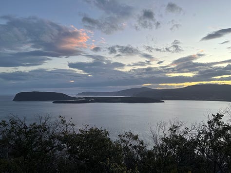 Pictures from our walk on The Three Capes Signature Walk with Tasmanian Walking Company