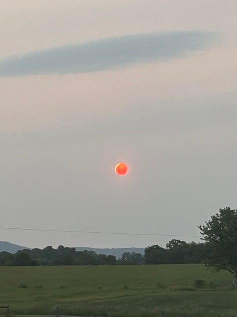 The images feature different sights Jesus and Judas saw during a recent trip to Austin, including a neon orange sun, a restaurant called Canje, plants, wildflowers, a pool with feet showing off a green pedicure, a deer who got very close to them.