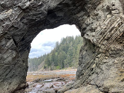 Photos of Olympic National Park coast, rain forest, and trails