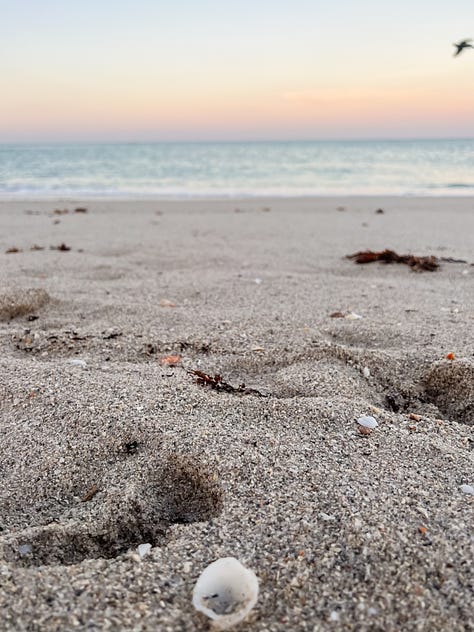 Close-up image of sand along a seashore and multi-hued sunset sky in the distance; image of an açaí breakfast bowl, journal, a framed painting, a bamboo plant, decorative wooden fruit, a vase, and a coaster on a kitchen dining table; image of tall beach grasslands in the foreground with buildings in the background backlit by the sunset light; dappled light through leaves of a mango tree and strung Tibetan prayer flags from the second-floor entrance to a yoga studio; image of a salad from a patio table and dining area surrounded by lush vegetation; image of two feet in sneakers on the sand with an infinity symbol drawn in the sand.