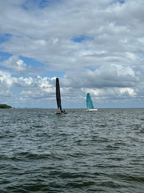 Catamaran sailboats on the bay