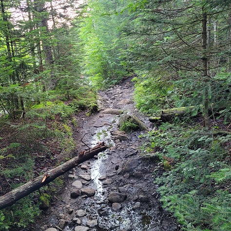 Hiking Mt. Colden in the High Peaks Region of the Adirondacks of upstate New York