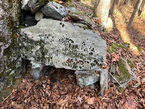 A stone construction in the woods against a cliffside.