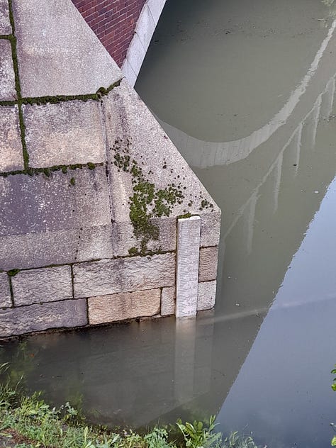 Pavia la piena del Ticino