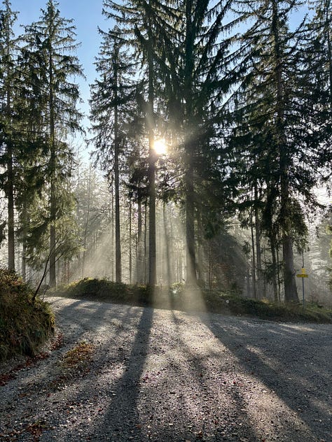 Various mountain photography in autumn