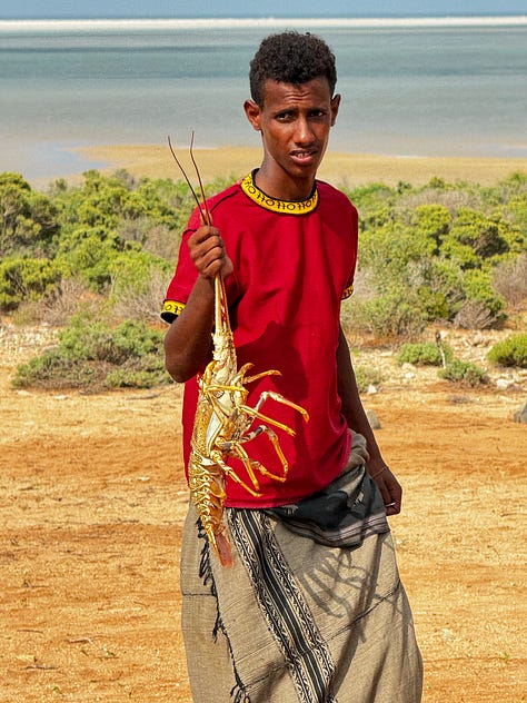 Socotra people