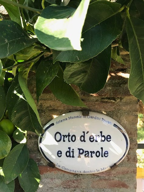 Lemons and limes thrive in busy gardens clinging to the sides of the hilltop village.