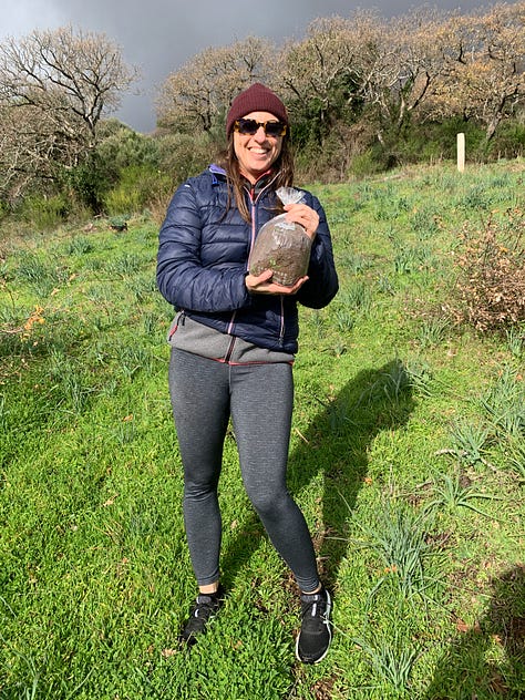 planting our Sardinian vineyard