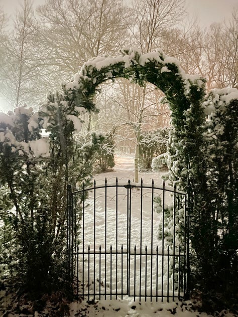 Snowy night in the garden: the yew arches, the boxwood parterre and the front gate