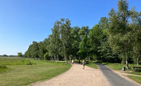Beige gravelly paths on all sides of the park