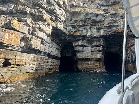 Pictures from our walk on The Three Capes Signature Walk with Tasmanian Walking Company