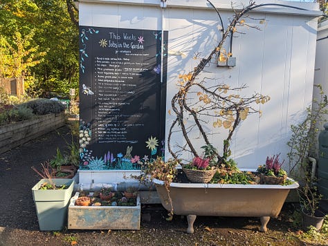 A community garden featuring bee & bee (bug hotel), vegetable patches, willow structures and signage listing information for volunteers and visitors 