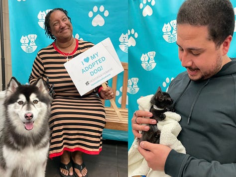 Pasadena Humane Adoption Photos