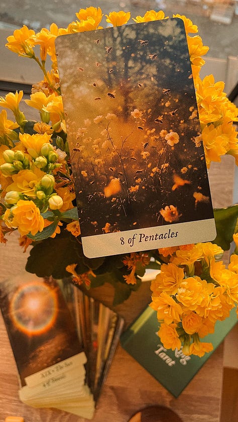 1) The 8 of Pentacles Tarot card, illustrated with golden-yellow flowers, is floating above similar golden-yellow flowers. 2) With the backdrop of a clear blue sky, a light post in the shape of an upside down capital 'L' with a bird perched on top. 3) Red flowers with a sunrise in the background, peeking between buildings. 4) An old typewriter perched on a wide windowsill with a Peacock feather sticking out of it. 5) An old wooden typewriter with well-worn crooked keys & blank pages in the paper table. There are ink stains in the shapes/letters of the keys on the desk where the typewriter sits. 6) A series of orange outdoor furniture chairs/tables & matching closed umbrellas in the courtyard of a cathedral with tall spires. 7) A golden-orange sunset on a lake.  