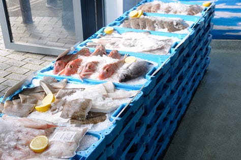 A 3 by 3 grid of photographs. From right to left: top row; peeling blue paint on something wooden, large muscles tied up in a dark blue plastic netting, a small boat with a blue base and cartoon dolphin on the side, reflecting in the water. Middle row: the blue sky with a seagull spreading its wings, a upwards shot of a blue panelled building, an alleyway with the graffiti of blue wings. Bottom row: A blue door on a pale blue house, a building with lots of windows reflecting the blue of the sky, a row of fish on ice in blue plastic boxes stacked up on top of one another.