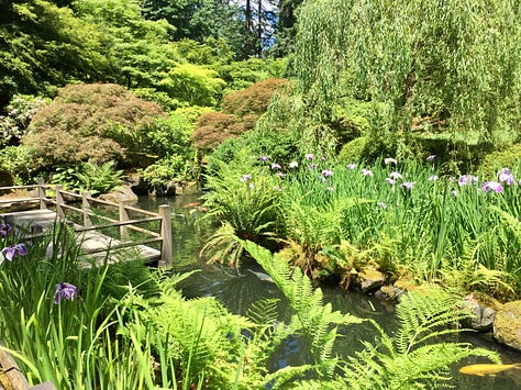 A series of photos of the Strolling Pond garden with koi fish in the water, irises in bloom, reflections of leaves, and a Japanese lantern covered in moss.