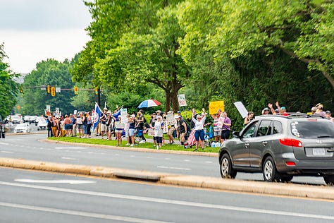 Northern Virginia No Kings Rally Pics - Courtesy Hillel Steinberg