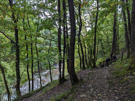 guided walk of the waterfalls of the BBNP with Wales Outdoors