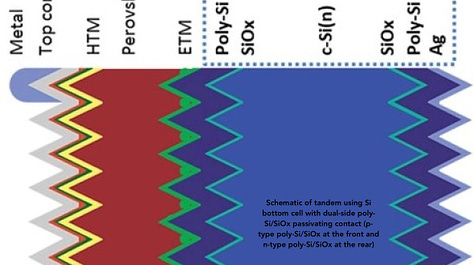 Silicon Perovskite Tandem Photovoltaic Cell with Double-Side Poly-Si/SiO2 Passivating Contact Si Cell