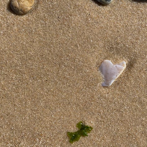 lucky hole stone, heart stone, baby jelyfish on sand