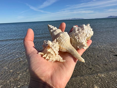 Photos from Baja, Mexico
