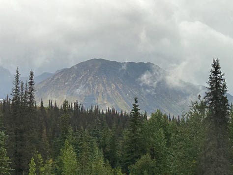 Photos from our Alaska train ride.