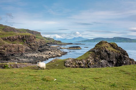 Images of Mull © Felicity Martin