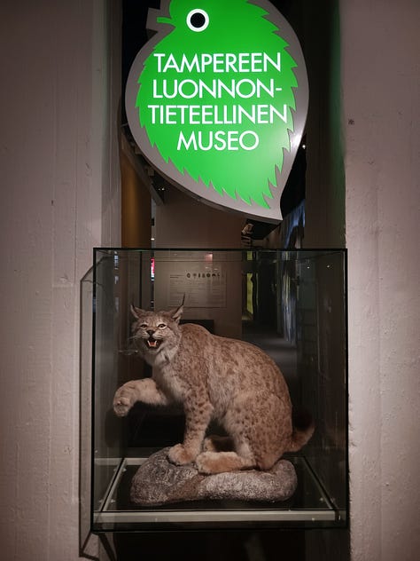 tampereen luonnontieteellinen museo