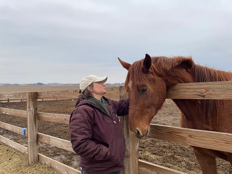 Wearing a tan baseball cap and a burgundy coat, I am standing next to the wooden fence and Mac, the brown horse I fell in love with last week, is reaching over the fence so that we can commune.