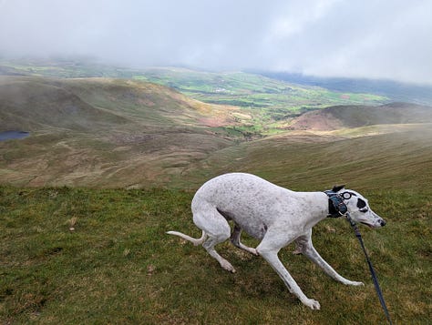 walking pen y fan and aberfan and castell coch