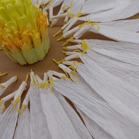 Scenes from the studio showing sketches and studies making composite flowerheads. A centre and all the parts of a daisy flower head made of paper.