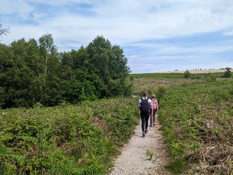 guided walk in the waterfalls area of the brecon beacons national park