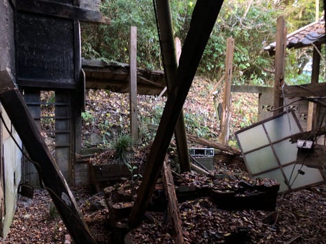 Kitchen roof collapsed, fallen wood beams and chimney, and brick stove.