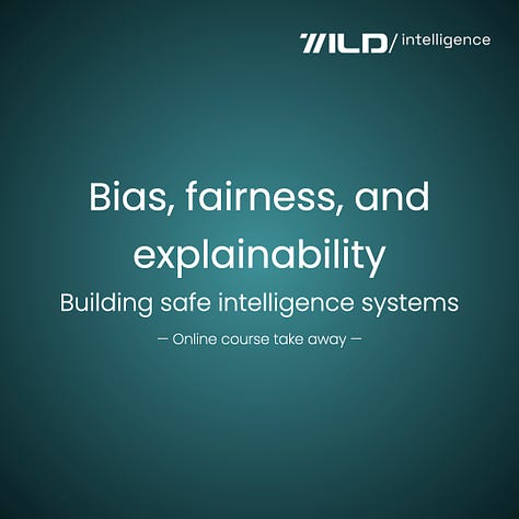 Bias, fairness, and explainability | A Wild Intelligence’s exclusive series