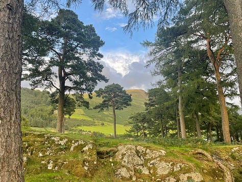 guided hike in the ogwen valley