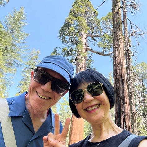 Murphys, big trees