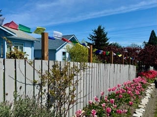 Exterior fence and pink tulips, open door showing bookcases, and gathering of people in living room
