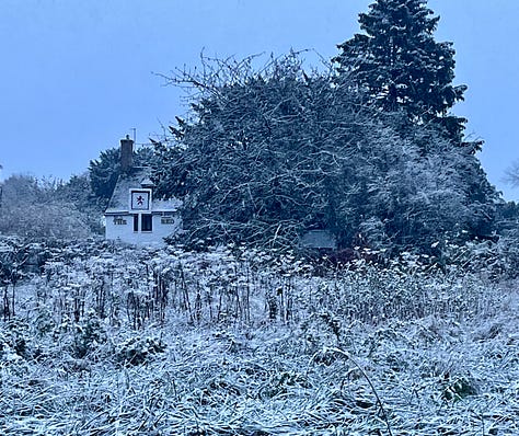 Frosted grasses in a snowy field with a pub in the background; a churchyard with snow on the ground; snow-covered grasses and trees