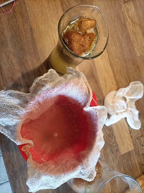 Une filtration de peau de kiwi, une limonade au sureau, un vinaigre de fraises, une fermentation de roses et une fermentation de fraises, un cétoine doré dans une rose, deux vinaigres un de pommes et un de fraises