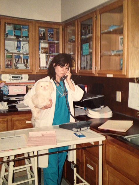 Photos of Michele Saletros, DVM at work as a veterinarian.