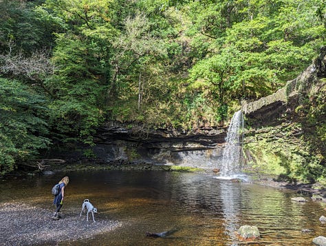 guided walk in the waterfalls area of the brecon beacons national park