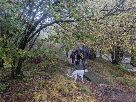 guided waterfall walk brecon beacons